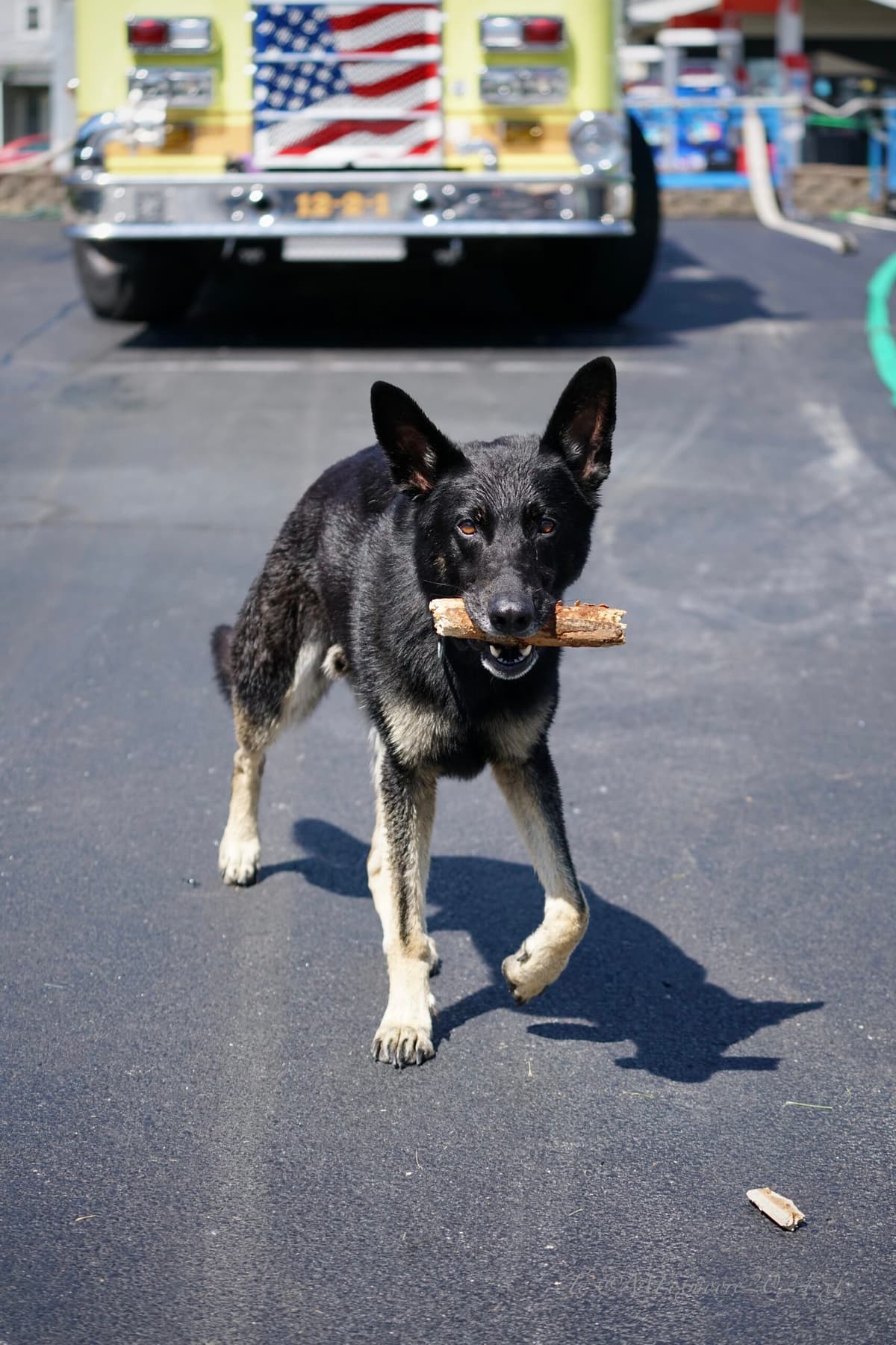 Reliant Fire Hose Testing Gallery