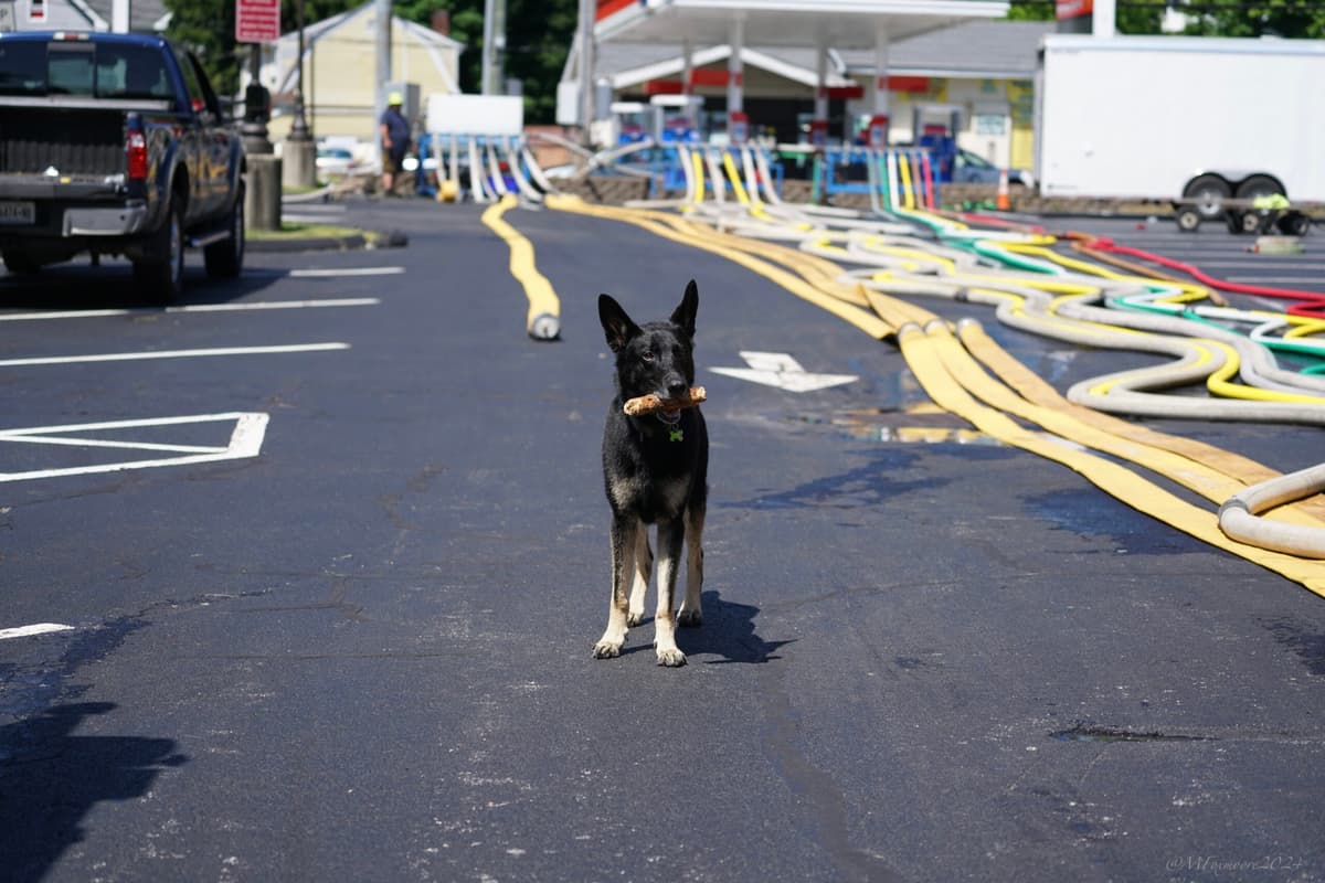 Reliant Fire Hose Testing Gallery